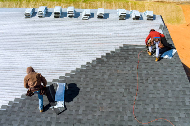 Best Roof Moss and Algae Removal  in Ridgely, MD